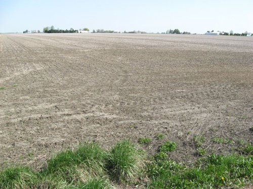 Property photo 13 - 172 Acres Offered in 3 Tracts - Prime Farmland